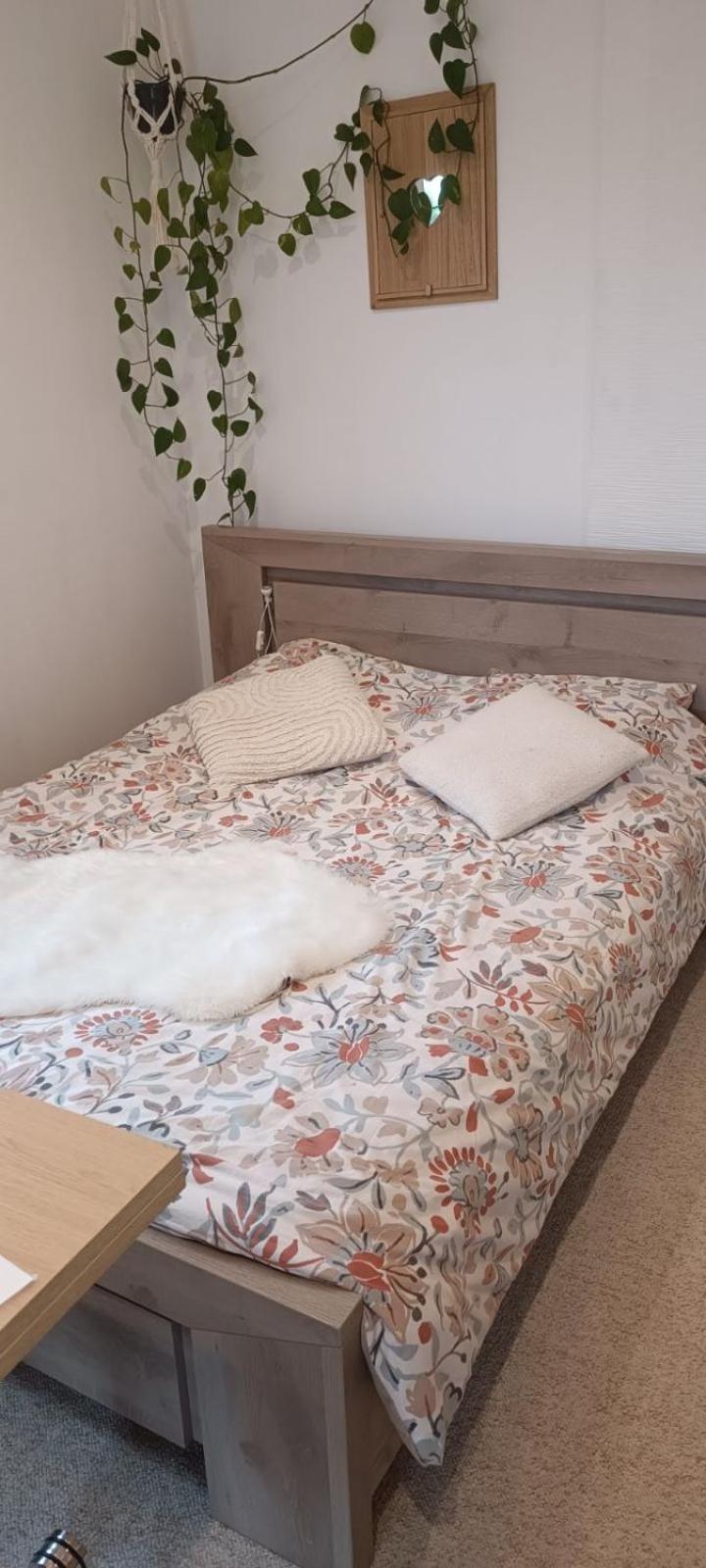 Apartamento Le Petit Cocon Montbozon Exterior foto